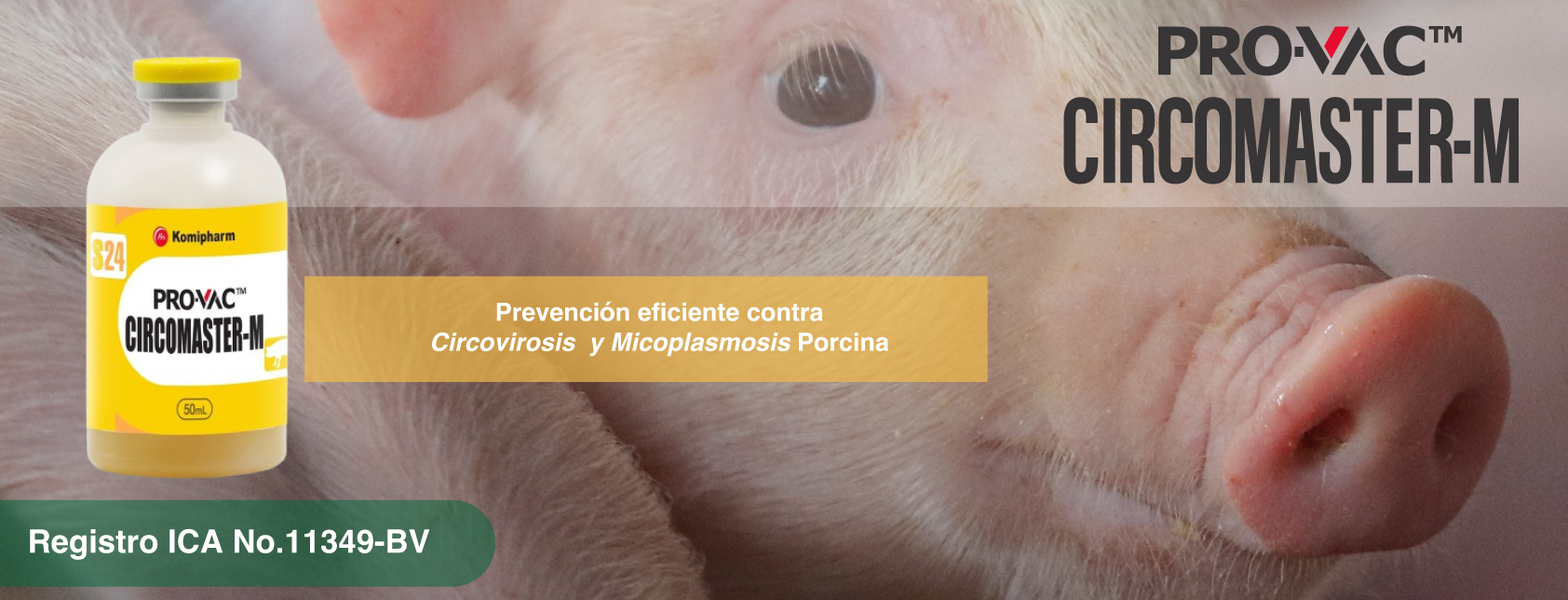 Captura de pantalla 2025-11-20 a la(s) 12.31.51 p. m.